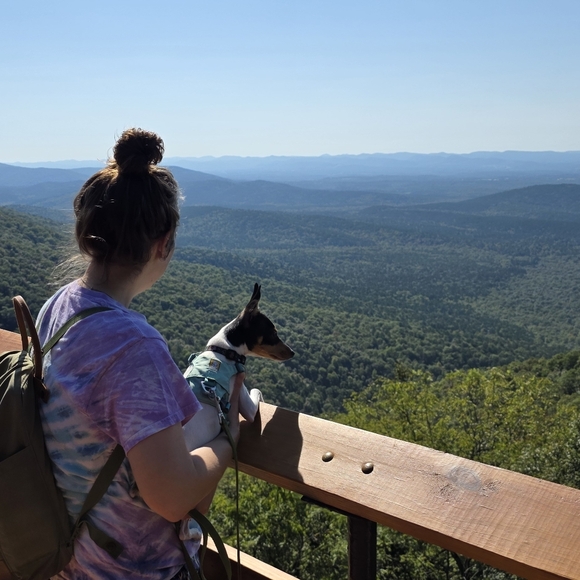 Meet your Posher, Tiff - Picture 2 of 16